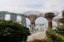 The Garden by the Bay is another popular spot with miles of paths to follow through a variety of plant and tree life.  These steel 
